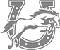 Wooster High School logo