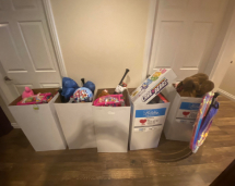 Five Boxes Of Toy Donations